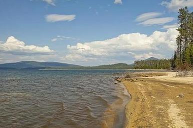 Contorta Flat Campground