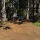 Fox Sparrow RV Resort and Campground