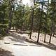 Limber Pine Campsite
