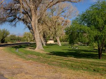 Large Cottonwood trees line the group campsites and shade green grassy areas.