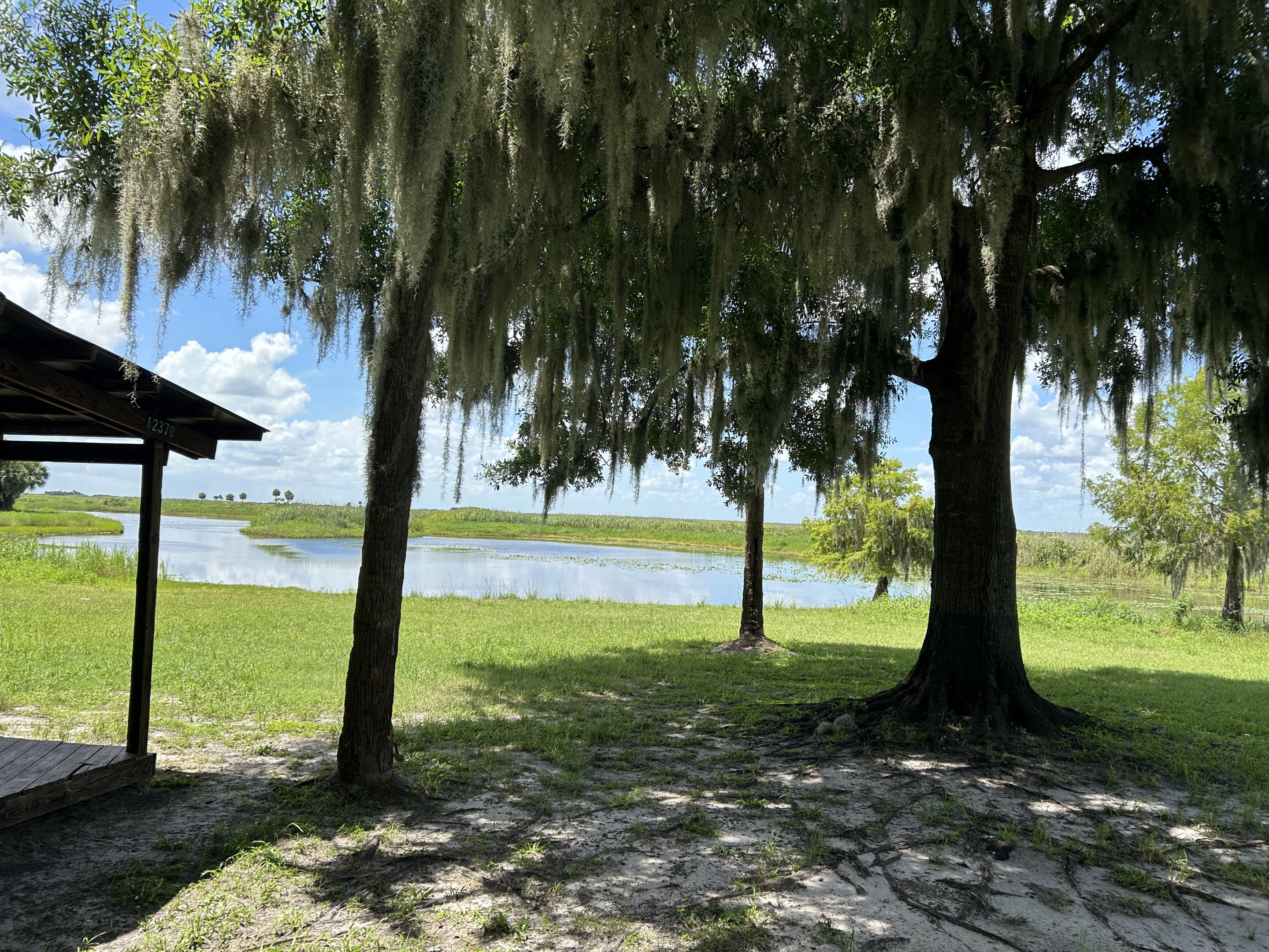 Seminole Ranch Conservation Area Hatbill SJRWMD