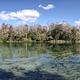Panoramic view of spring