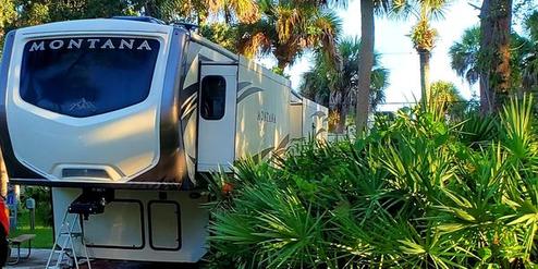 Montana RV parked among lush palm trees and greenery.