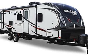 Take flight with the Mighty Mallard!
