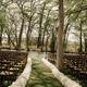 Weddings at Rio Bella Resort