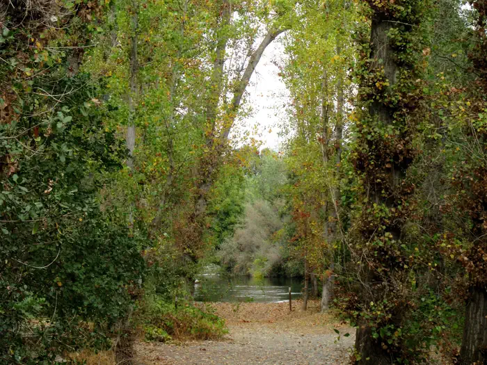 Horseshoe Road Recreation Area
