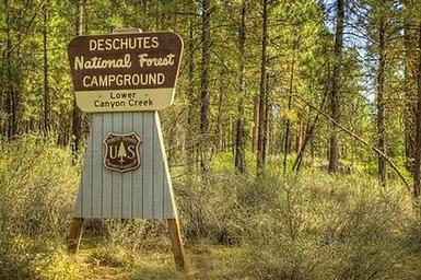 LOWER CANYON CREEK CAMPGROUND