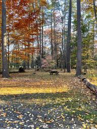 Campspot slideshow image 5