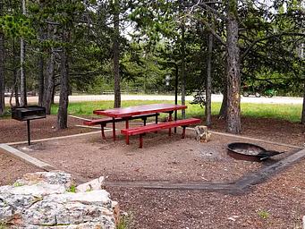 Campsite in wooded area -Porcupine Campground