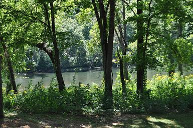 NORTH FORK RIVER VIEW