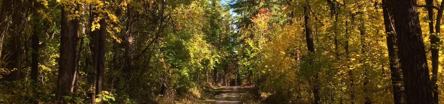 Lake Gillette Campground