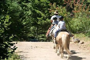 WILLOW PRAIRIE HORSECAMP