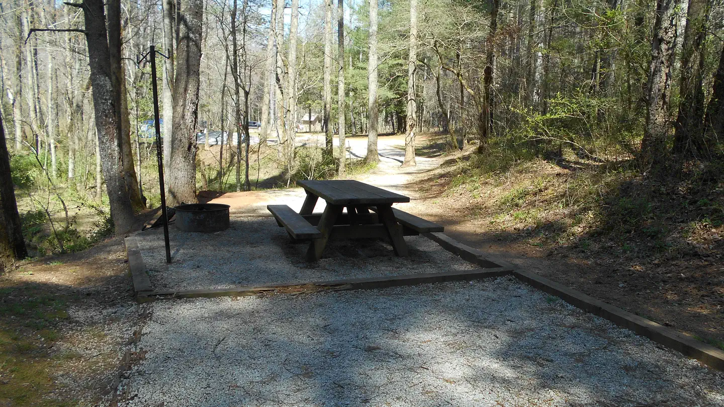 Sarah's Creek Campground (clayton, Ga)