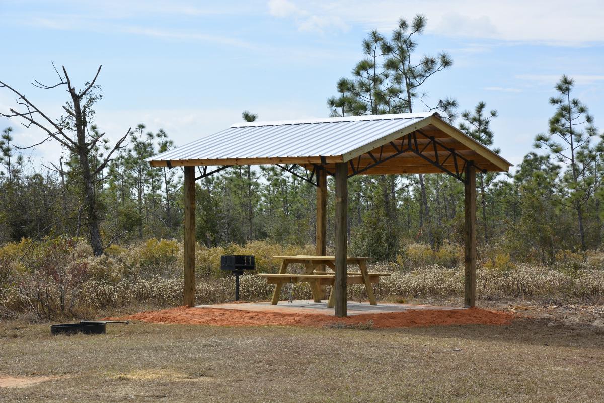 Wolf Pond North