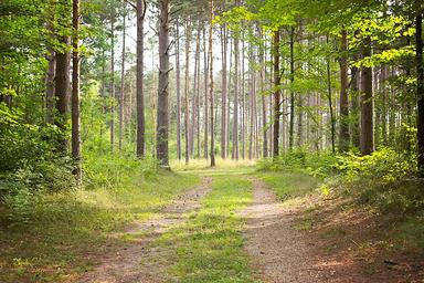 Campspot slideshow image 3