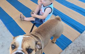 Jon and Ash's kid & pet friendly RV Rental