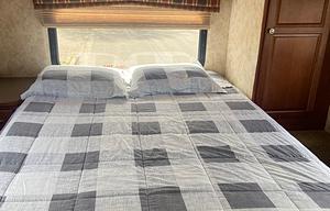 2010 Winnebago Access 31N