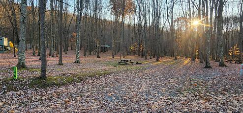 Curwensville Lake