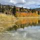 Campspot slideshow image 2