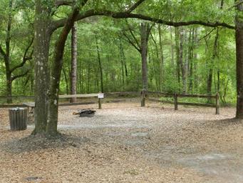 Campground image 2