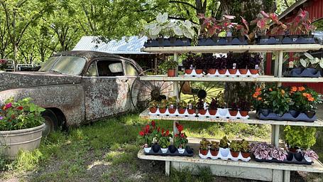 Fulmer's Farmstead