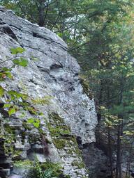 Rip Van Winkle Campground