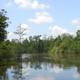 Campground image 1