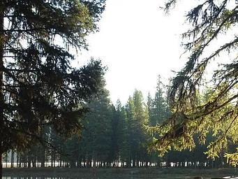 Riverpoint from Across the Clearwater River