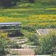 Path leading down to a picnic table, tent pad and meadow of flowers. 