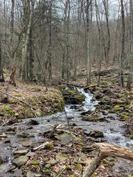 Campspot slideshow image 5
