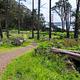Dirt path leading through Kirby Cove Campground. Through the tall trees, there is a view of the Golden Gate Bridge.