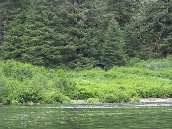 Plotnikof Lake Cabin13