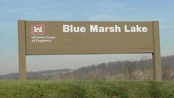 Blue Marsh Lake (Dry Brooks Day Use Area)