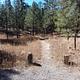 Jemez Falls Campground Trail Head