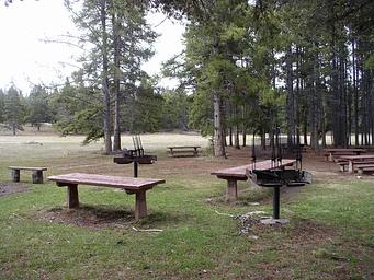 Willow Park Group Area 2