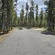 Shoreline Campground/1459