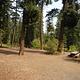 Pine Needle Group Site