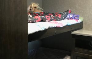 Home away from home