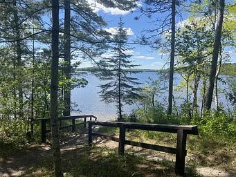 Williams Narrows