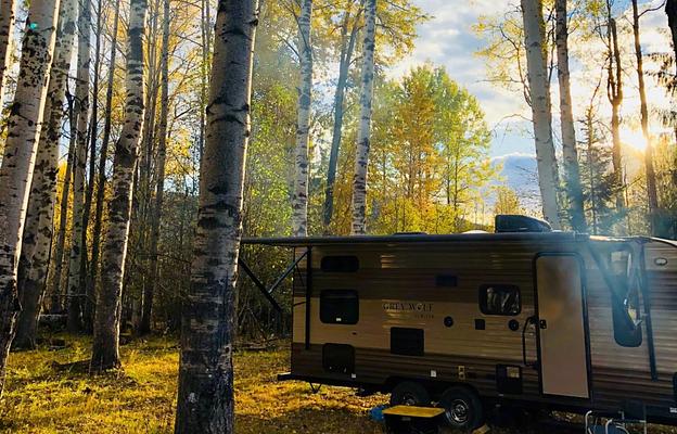 2018 Forest River RV Cherokee Grey Wolf 26DBH