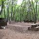 View showing picnic tables