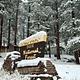 Winter at the Pine Valley Guard Station