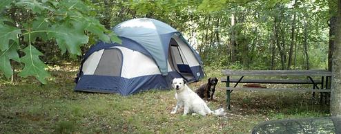 Troll Landing Campground & Canoe Livery LLC