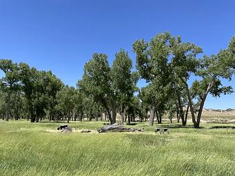 A photo of facility Deerlodge Park Campground with No Amenities Shown
