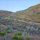 View of hillside descent of the Oregon Trail at the John Day crossing.