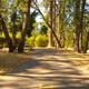 Campground image 1