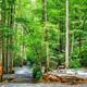 Campspot slideshow image 3