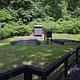 Campground amphitheater. Wooden boardwalk leading to open grass area with 10 wooden benches facing wooden projection screen.  Dense green vegetation is behind theater.
