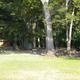 Picnic tables in the foreground surrounded by trees, and the restroom facility in the background in Picnic Area C