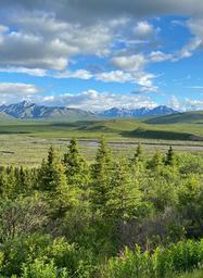 Wide landscape view across tundra/low forest to distant mountain range — scenic view likely visible from the property and useful to illustrate surrounding scenery (homepage image).